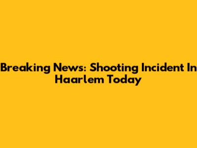 Breaking News: Shooting Incident In Haarlem Today