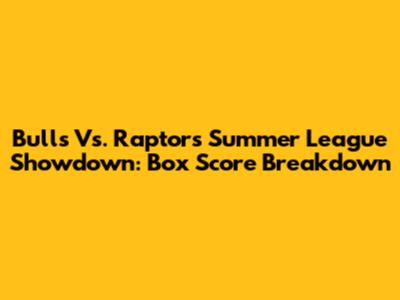 Bulls Vs. Raptors Summer League Showdown: Box Score Breakdown