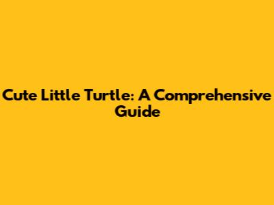 Cute Little Turtle: A Comprehensive Guide