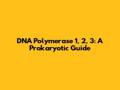DNA Polymerase 1, 2, 3: A Prokaryotic Guide