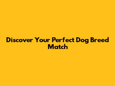 Discover Your Perfect Dog Breed Match