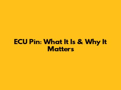 ECU Pin: What It Is & Why It Matters