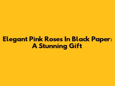 Elegant Pink Roses In Black Paper: A Stunning Gift