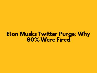 Elon Musk's Twitter Purge: Why 80% Were Fired