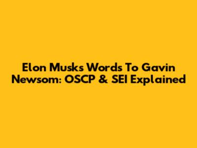 Elon Musk's Words To Gavin Newsom: OSCP & SEI Explained