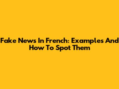 Fake News In French: Examples And How To Spot Them