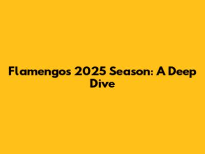 Flamengo's 2025 Season: A Deep Dive