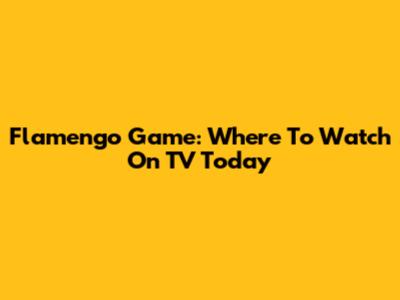 Flamengo Game: Where To Watch On TV Today