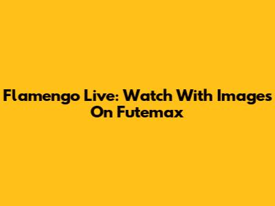 Flamengo Live: Watch With Images On Futemax