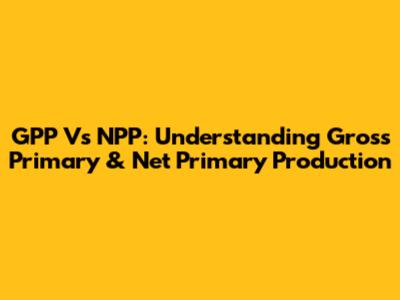 GPP Vs NPP: Understanding Gross Primary & Net Primary Production