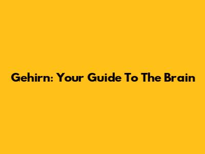 Gehirn: Your Guide To The Brain