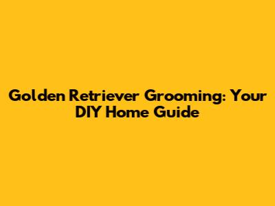 Golden Retriever Grooming: Your DIY Home Guide