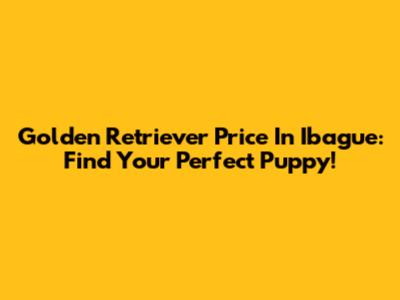 Golden Retriever Price In Ibague: Find Your Perfect Puppy!