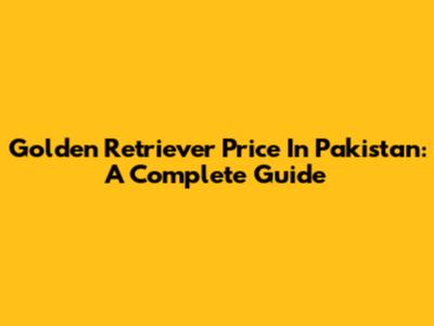Golden Retriever Price In Pakistan: A Complete Guide