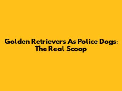 Golden Retrievers As Police Dogs: The Real Scoop