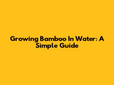 Growing Bamboo In Water: A Simple Guide