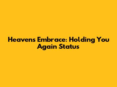 Heaven's Embrace: Holding You Again Status