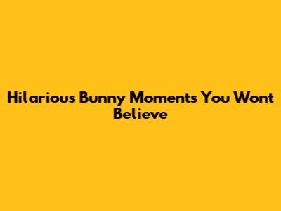 Hilarious Bunny Moments You Won't Believe