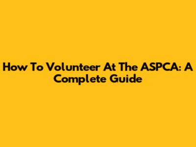 How To Volunteer At The ASPCA: A Complete Guide