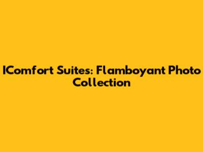 IComfort Suites: Flamboyant Photo Collection
