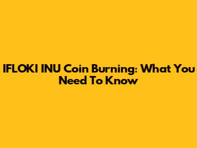 IFLOKI INU Coin Burning: What You Need To Know
