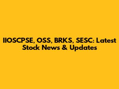 IIOSCPSE, OSS, BRKS, SESC: Latest Stock News & Updates