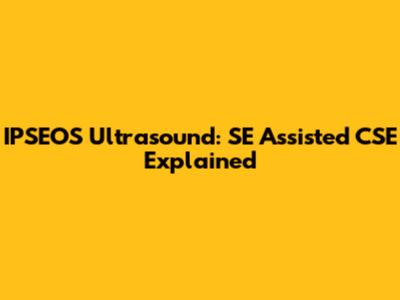 IPSEOS Ultrasound: SE Assisted CSE Explained