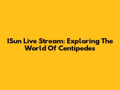ISun Live Stream: Exploring The World Of Centipedes