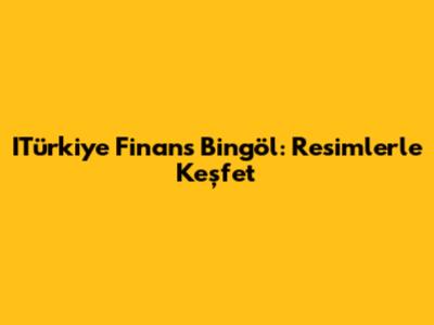 ITürkiye Finans Bingöl: Resimlerle Keşfet