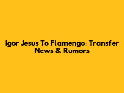 Igor Jesus To Flamengo: Transfer News & Rumors