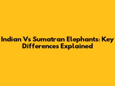 Indian Vs Sumatran Elephants: Key Differences Explained