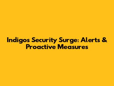 Indigo's Security Surge: Alerts & Proactive Measures