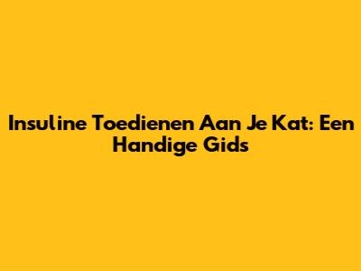 Insuline Toedienen Aan Je Kat: Een Handige Gids