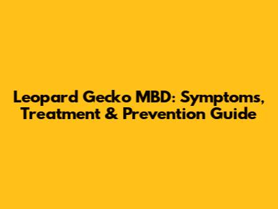 Leopard Gecko MBD: Symptoms, Treatment & Prevention Guide