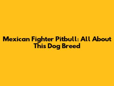 Mexican Fighter Pitbull: All About This Dog Breed