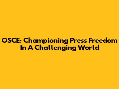OSCE: Championing Press Freedom In A Challenging World
