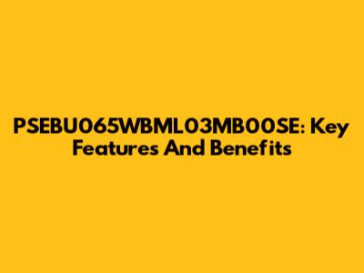 PSEBU065WBML03MB00SE: Key Features And Benefits