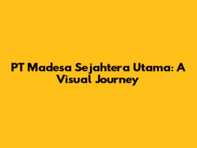 PT Madesa Sejahtera Utama: A Visual Journey