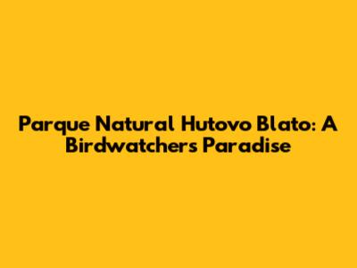 Parque Natural Hutovo Blato: A Birdwatcher's Paradise