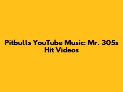 Pitbull's YouTube Music: Mr. 305's Hit Videos