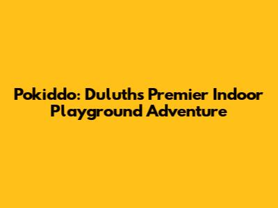 Pokiddo: Duluth's Premier Indoor Playground Adventure