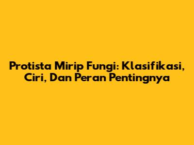 Protista Mirip Fungi: Klasifikasi, Ciri, Dan Peran Pentingnya