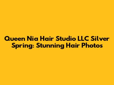 Queen Nia Hair Studio LLC Silver Spring: Stunning Hair Photos