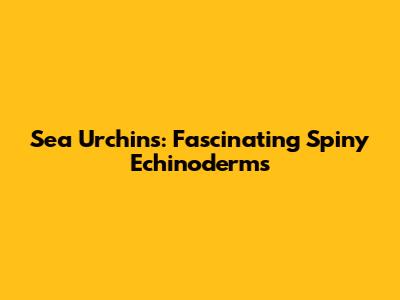 Sea Urchins: Fascinating Spiny Echinoderms