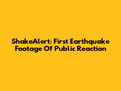 ShakeAlert: First Earthquake Footage Of Public Reaction