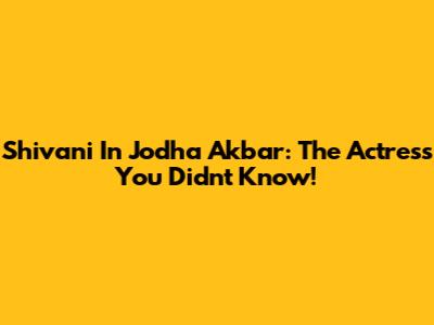 Shivani In Jodha Akbar: The Actress You Didn't Know!
