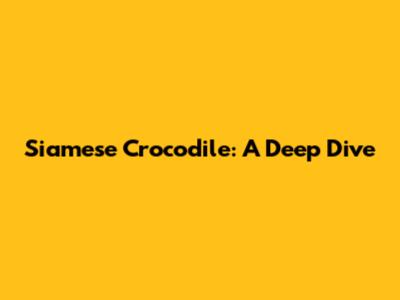 Siamese Crocodile: A Deep Dive