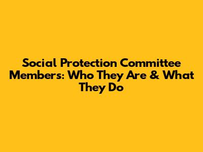 Social Protection Committee Members: Who They Are & What They Do