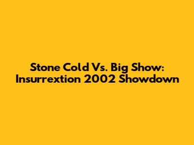 Stone Cold Vs. Big Show: Insurrextion 2002 Showdown