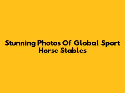 Stunning Photos Of Global Sport Horse Stables